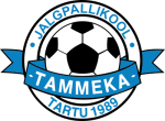 JK Tammeka Sinine